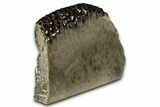 Free-Standing, Petoskey Stone (Fossil Coral) Section - Michigan #356981-1